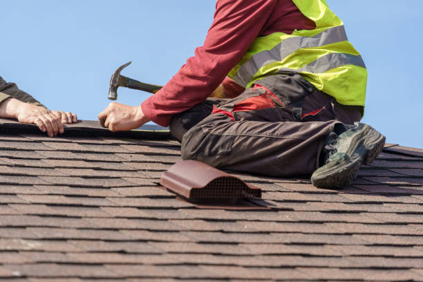 Best Roof Leak Repair  in Danville, IA