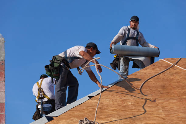 Best Residential Roofing Contractor  in Danville, IA