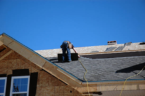 Best Roof Repair Services  in Danville, IA