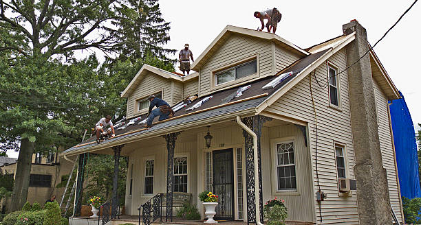 Best Flat Roof Repair Services  in Danville, IA