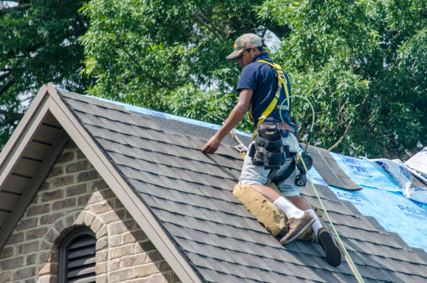 Best Residential Roofing Contractor  in Danville, IA